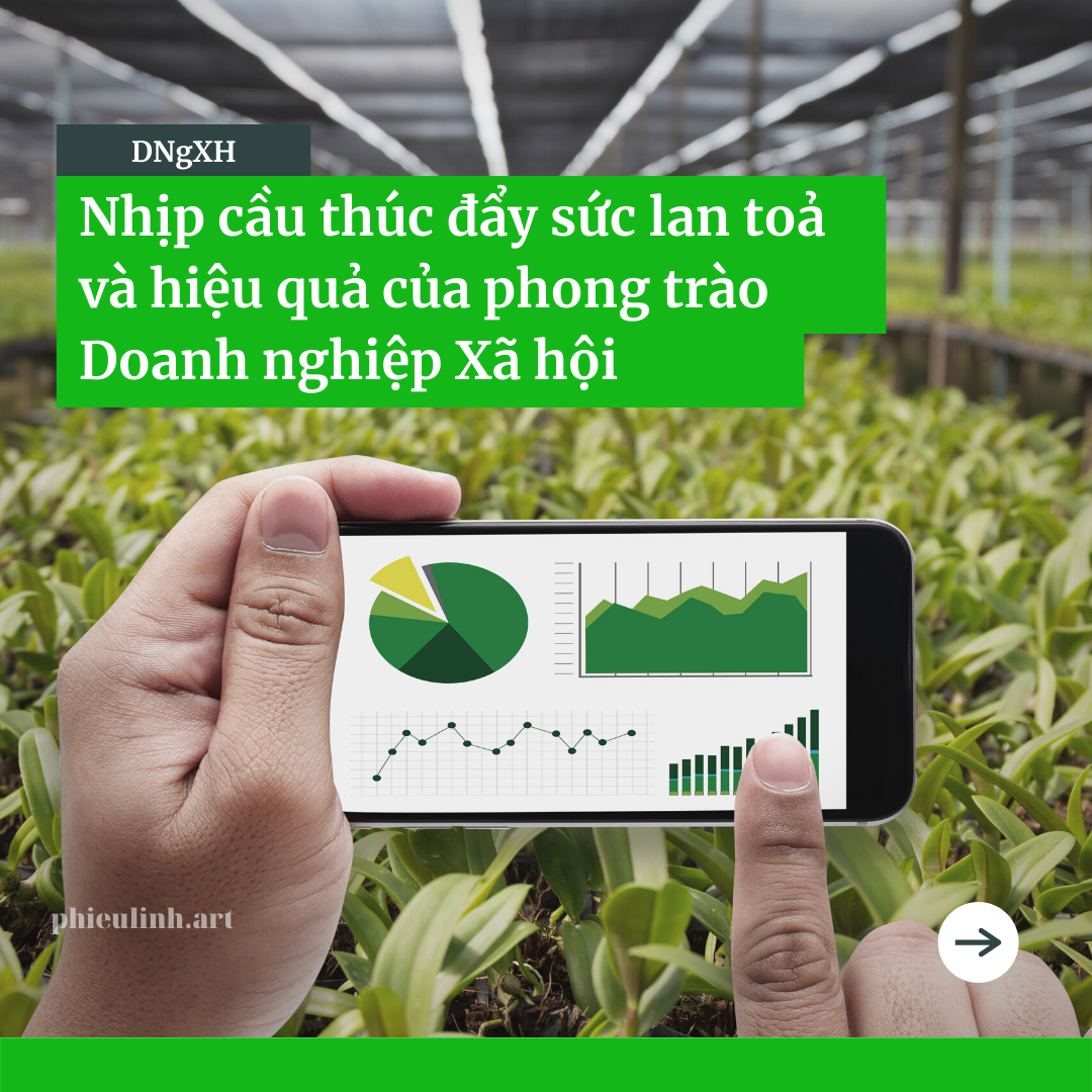 Doanh nghiep xa hoi Viet Nam