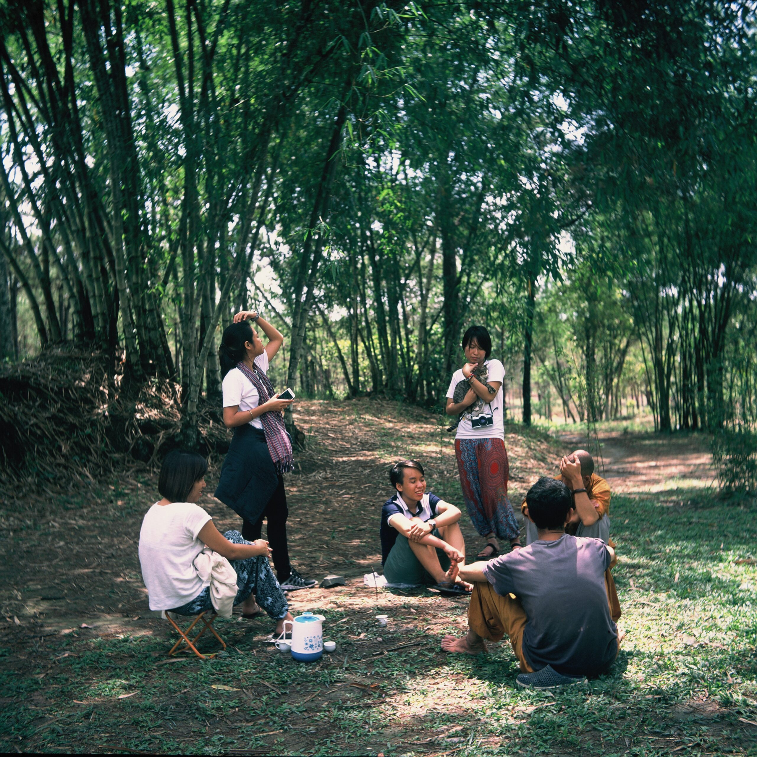 Đồi thông Phương Bối