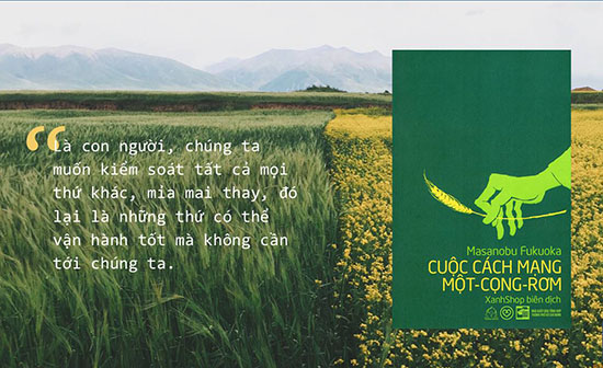 Cuộc cách mạng một cọng rơm