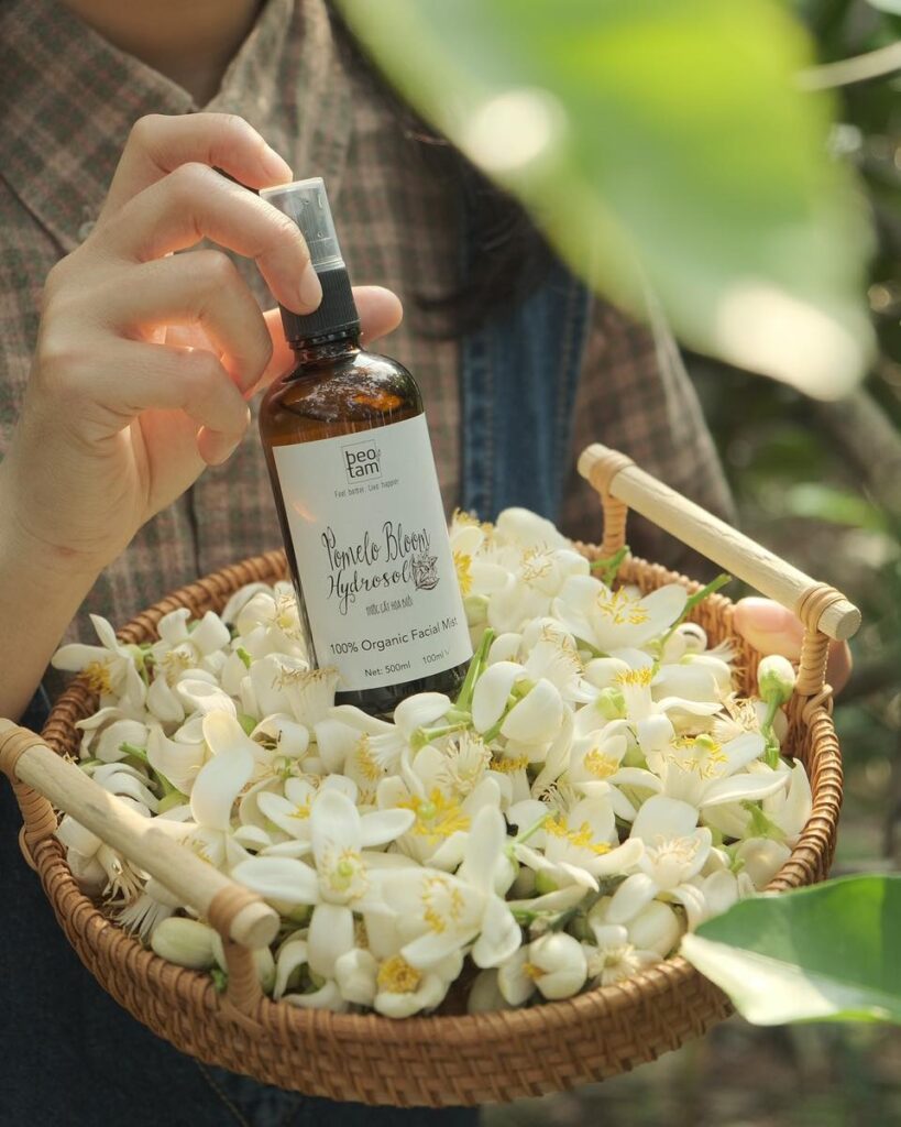 Hydrosol hoa bưởi