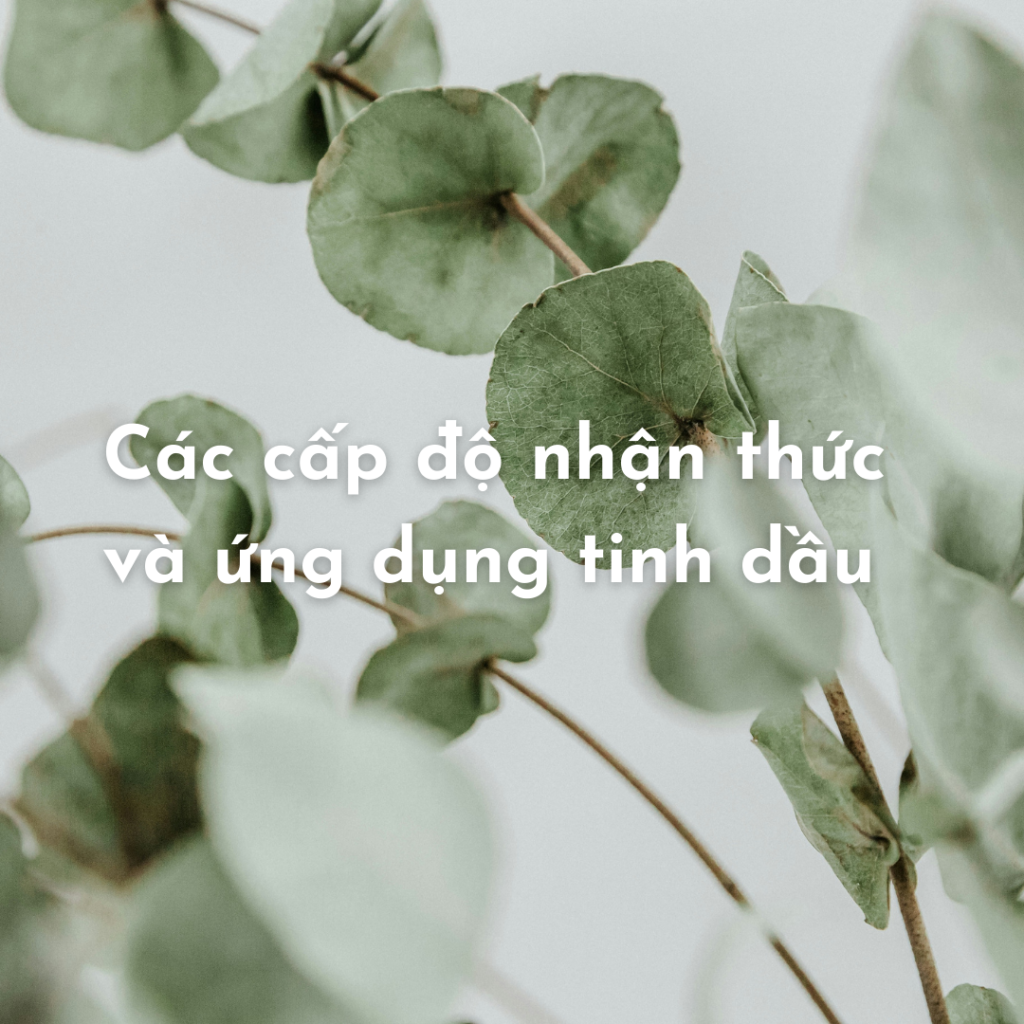 ứng dụng tinh dầu