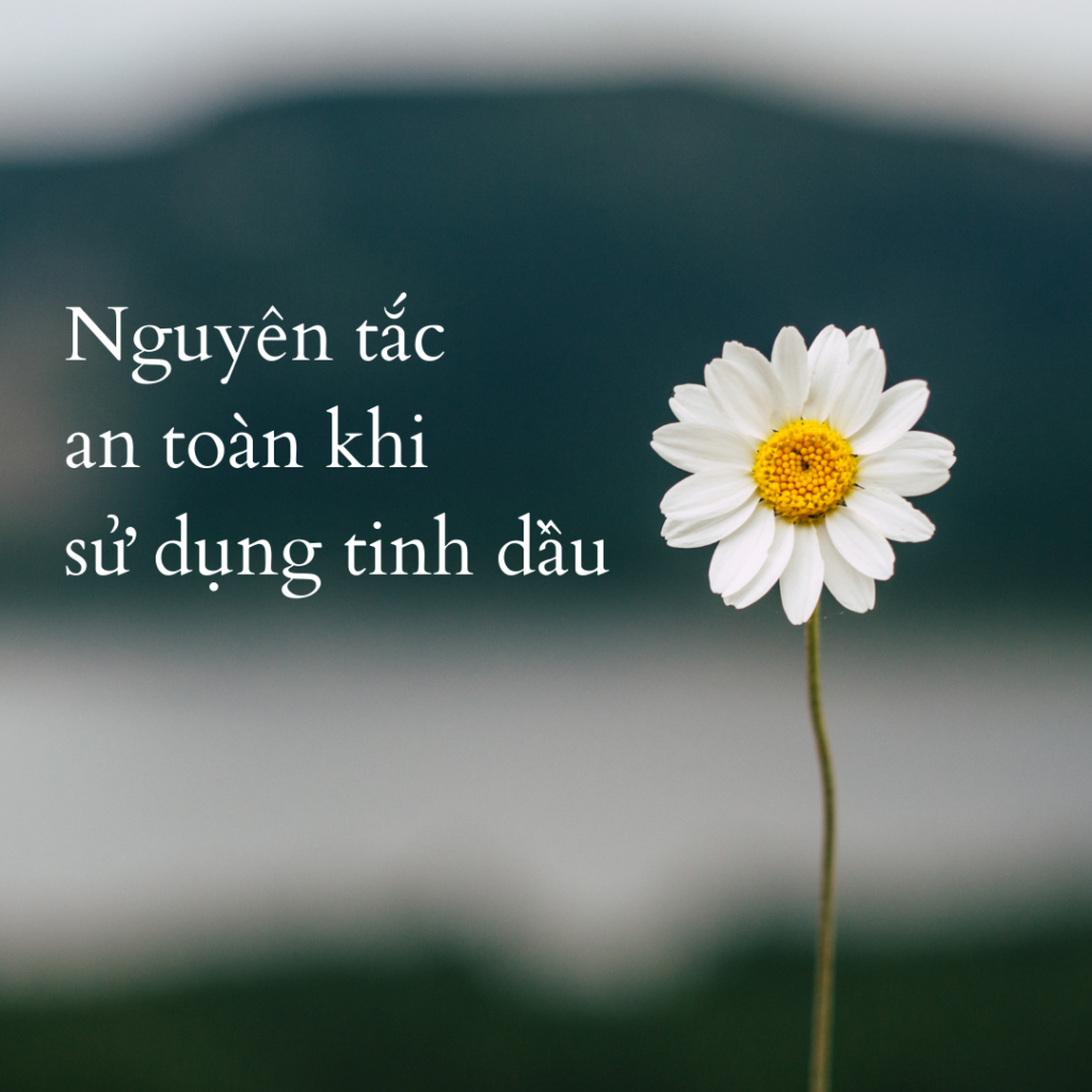 nguyên tắc an toàn khi sử dụng tinh dầu